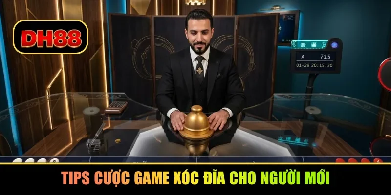 Tips cược game xóc đĩa cho người mới