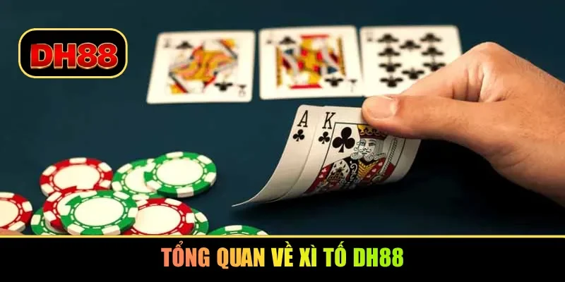 Tổng quan về xì tố DH88