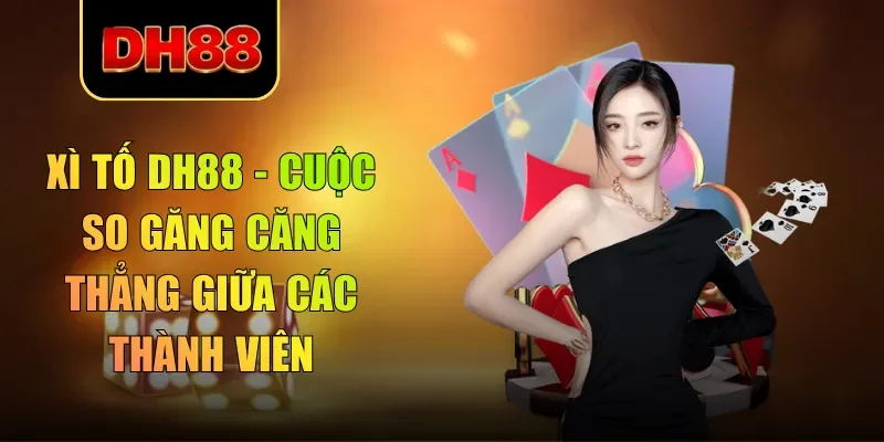 xì tố dh88